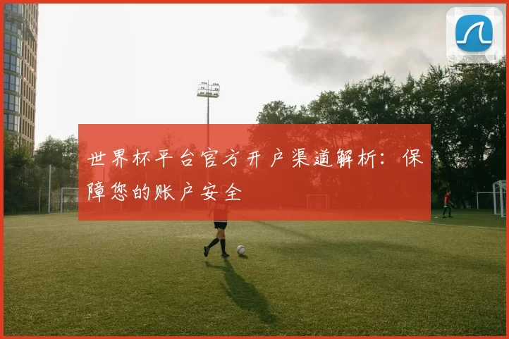 世界杯平台官方开户渠道解析：保障您的账户安全