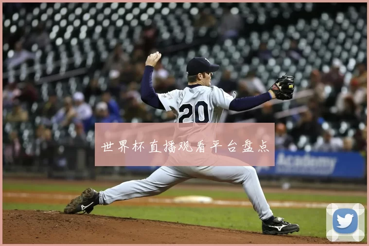 世界杯直播观看平台盘点