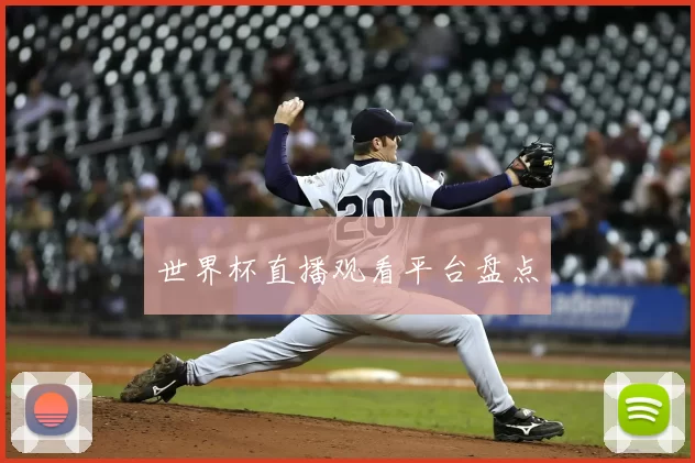 世界杯直播观看平台盘点