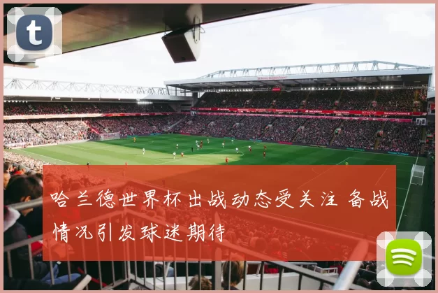 哈兰德世界杯出战动态受关注 备战情况引发球迷期待